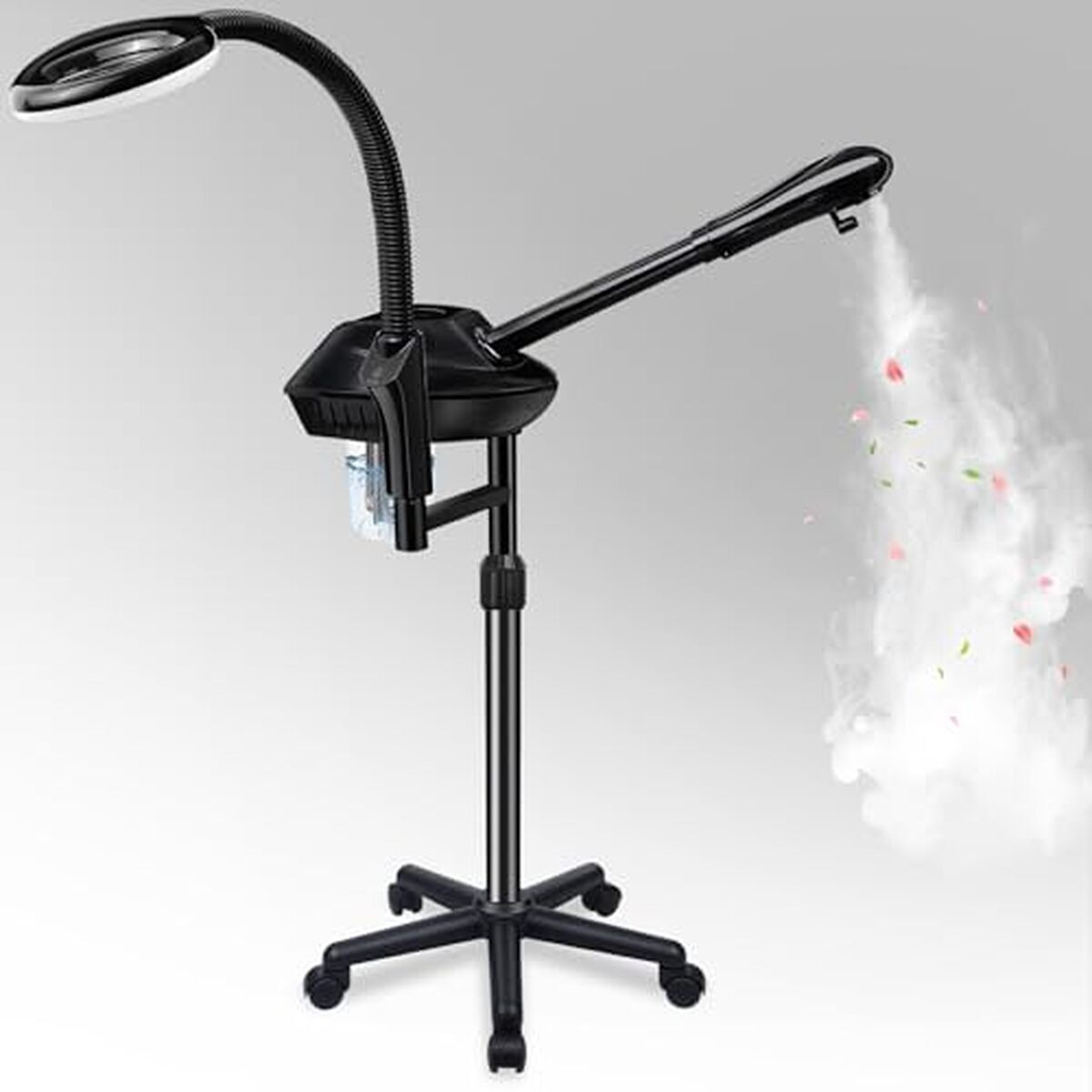 Test cuiseur vapeur facial professionnel 2 en 1 avec lampe grossissante 5x